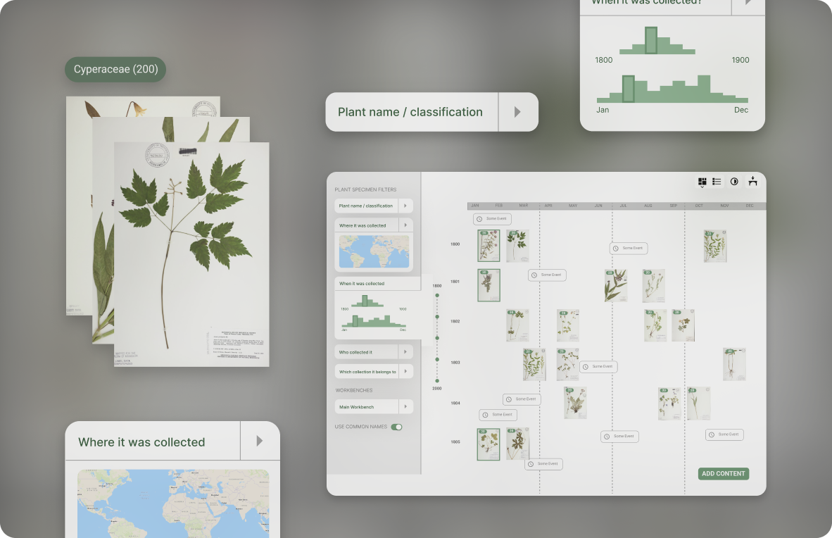 Some mockups of Connie's work at HerbUX on plant classification software.