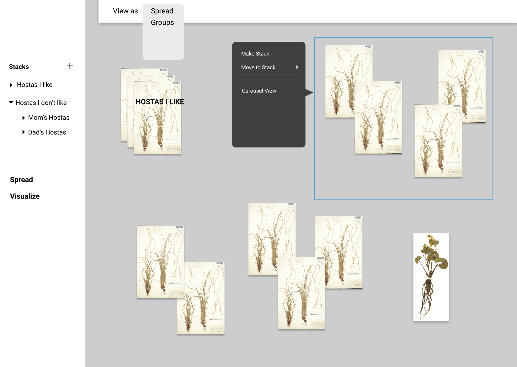 A low-fidelity prototype of an interface where plant images are arranged in stacks.